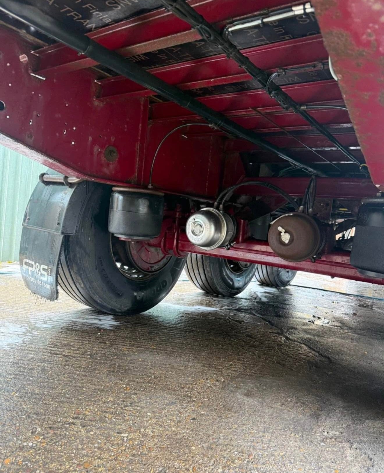 Lawrence David 4m 2017